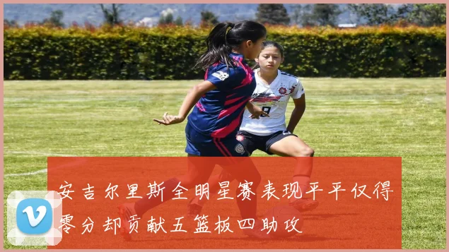 安吉尔里斯全明星赛表现平平仅得零分却贡献五篮板四助攻
